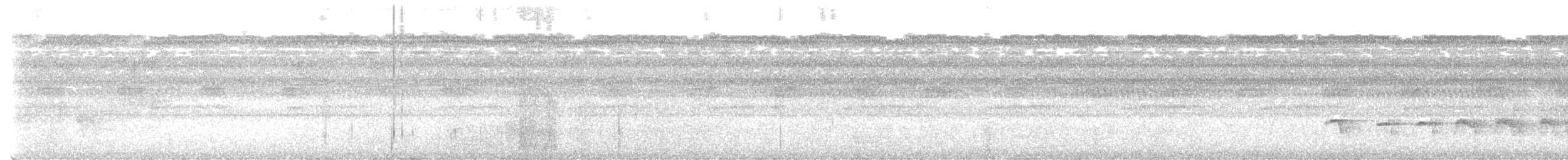 Weißflanken-Ameisenschlüpfer - ML617588450
