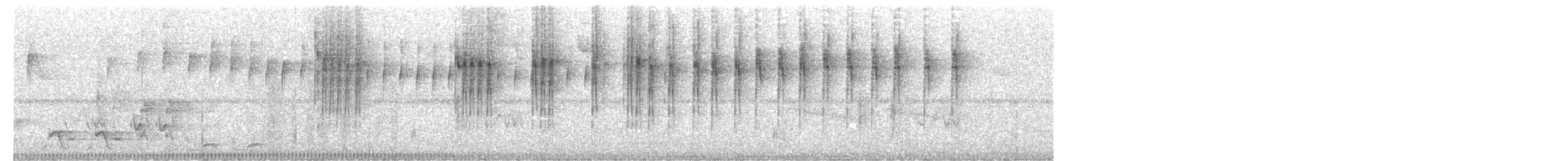 Synallaxe olive - ML617588453