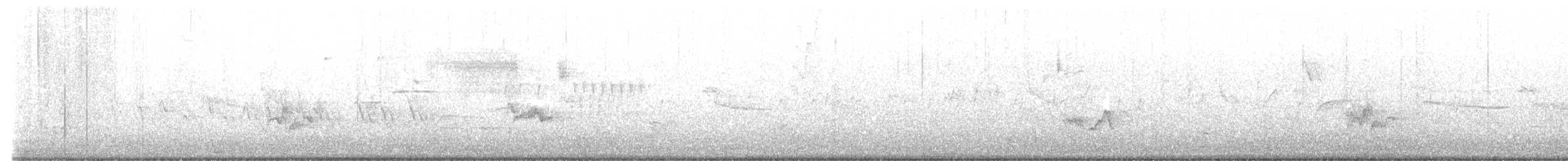 ויראו צהוב-גרון - ML617591301
