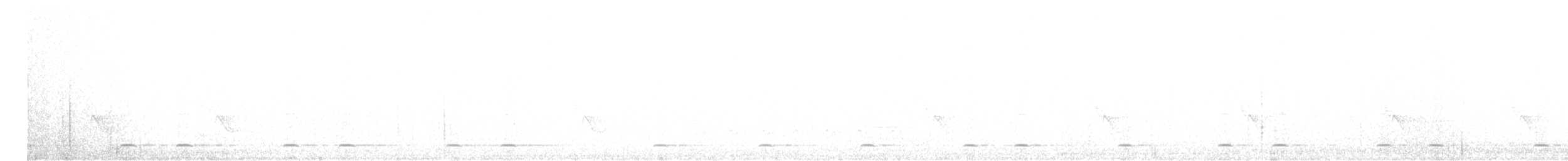 kulíšek mexický (ssp. gnoma) - ML617591307