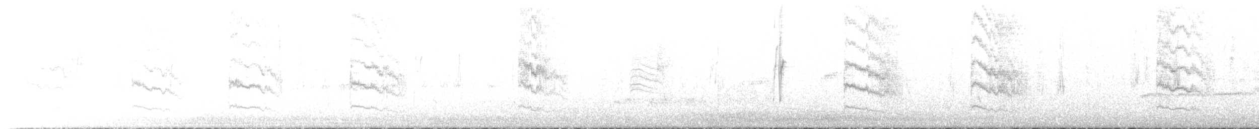 Pacific Parrotlet - ML617592384