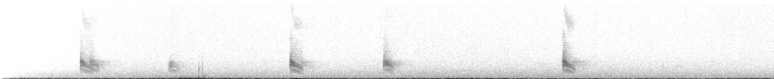 Long-tailed Mockingbird - ML617593280