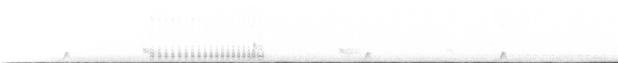 Белошейный колючник (bernardi) - ML617593723