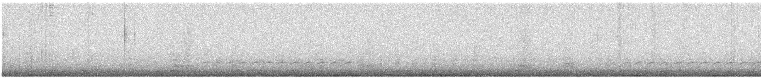 Weißbrustkleiber - ML617596316