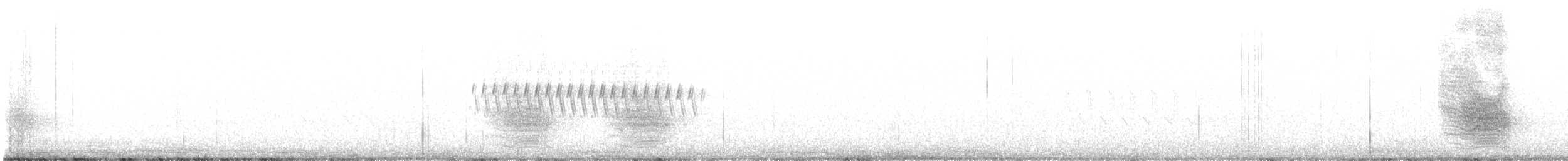 furuskrike (diademata gr.) - ML617598106