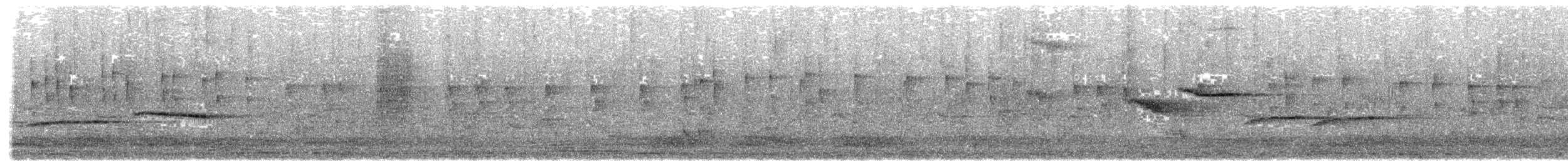 Nilgiri Sholakili - ML617598421