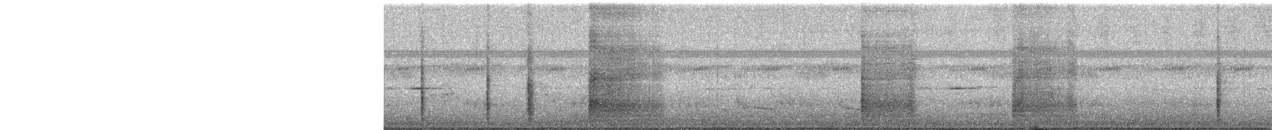 Tropical Boubou - ML617598568