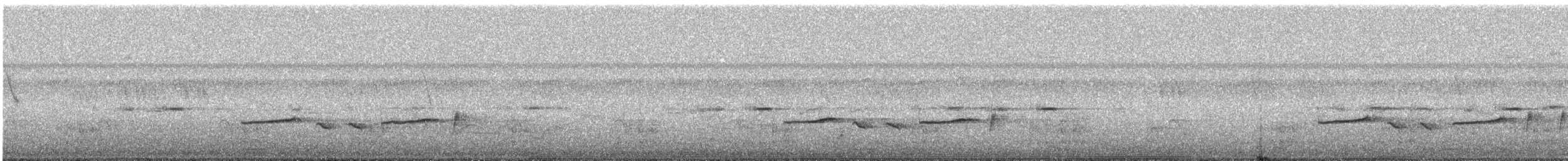 White-browed Scrub-Robin - ML617598604