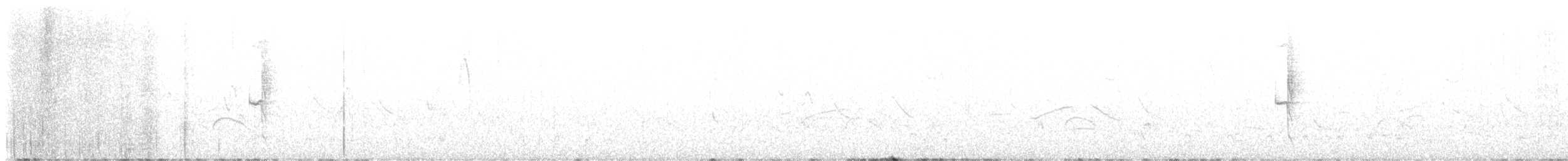 Kara Karınlı Karıncakuşu - ML617599384