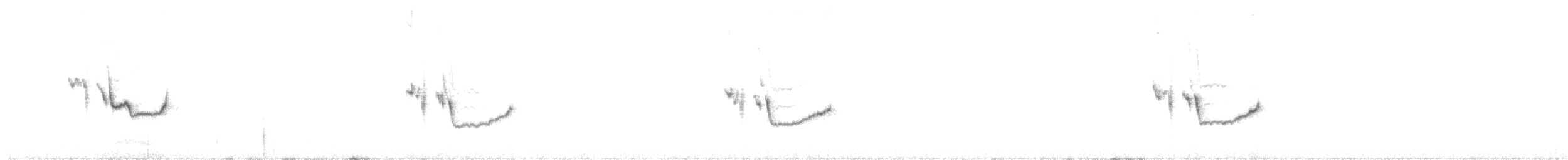 Dromoïque vif-argent - ML617601589