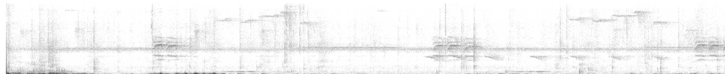 White-throated Quail-Dove - ML617601715