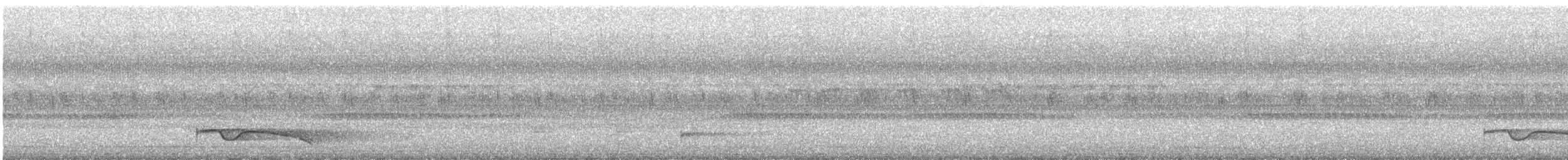 Great Eared-Nightjar - ML617602035