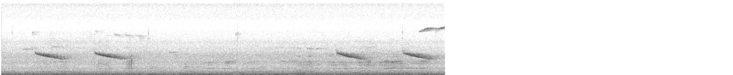 brhlík lesní - ML617602694