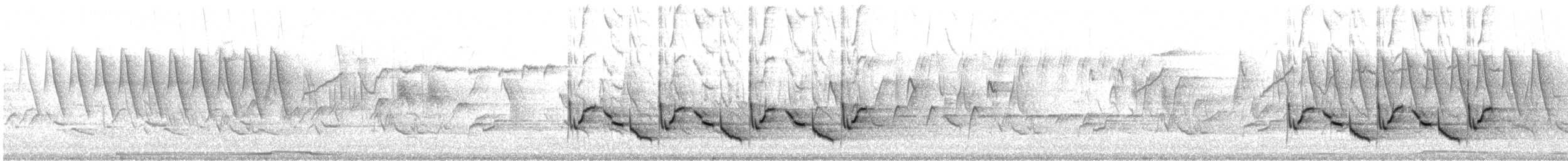 Carolinazaunkönig - ML617603141