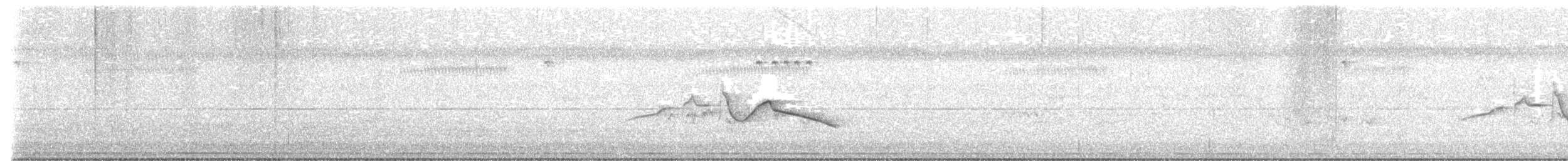 Яванская пестрогрудка (timorensis) - ML617604471
