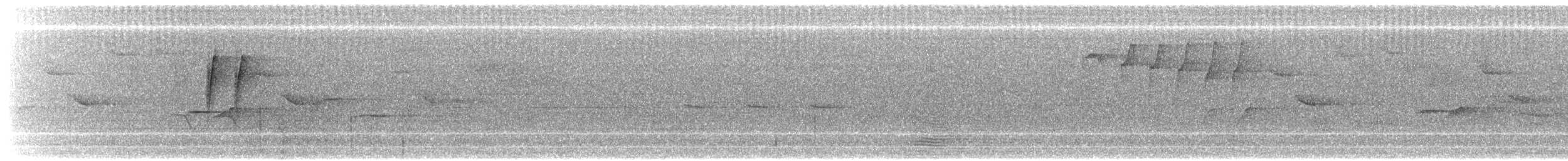 Turuncu Karınlı Öksekuşu - ML617604856