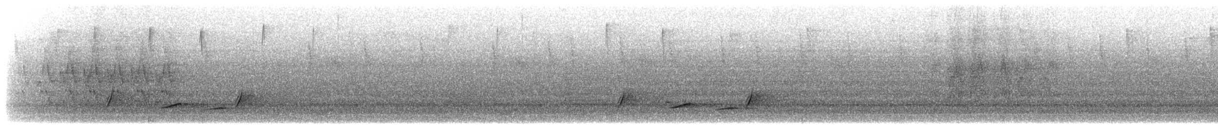 Siffleur des Philippines (groupe philippinensis) - ML617604916