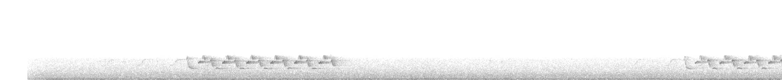 Каролинский крапивник - ML617604950