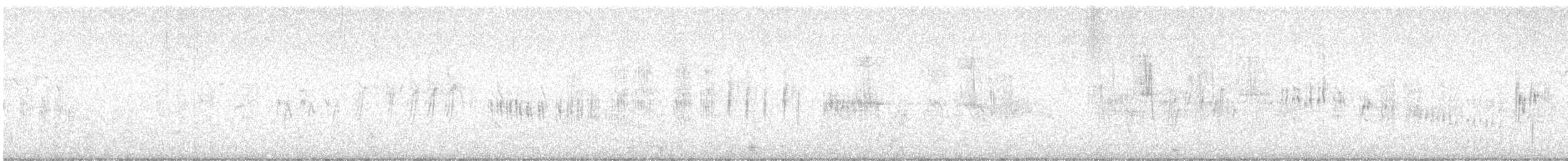 Phragmite des joncs - ML617605134