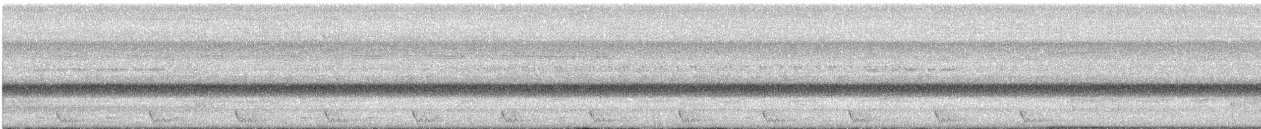 Large-tailed Nightjar - ML617605969