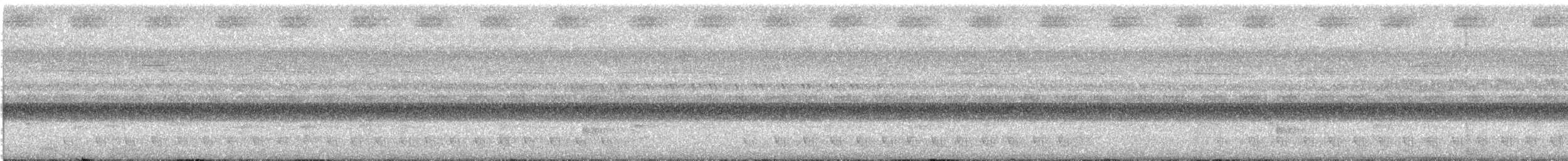 Gray Nightjar - ML617605978