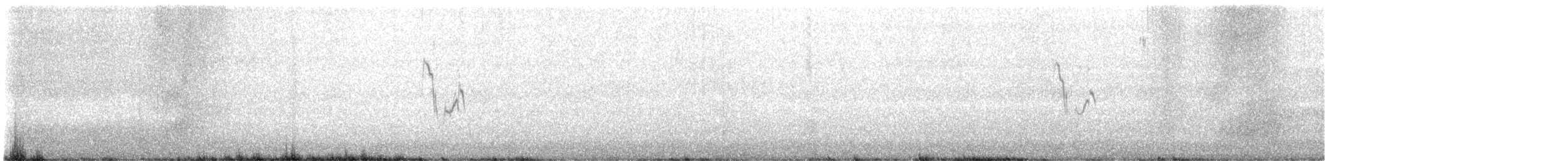 White Wagtail - ML617607314