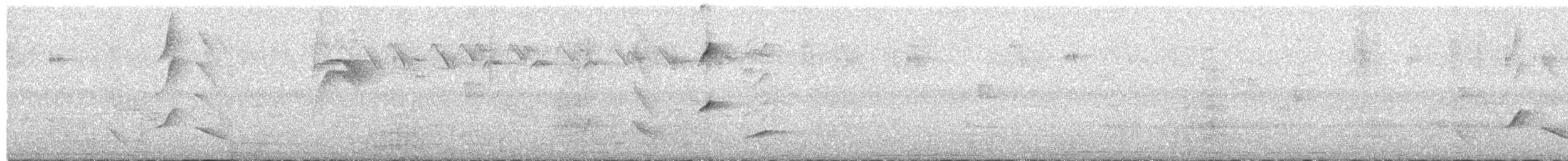 Pepitero Grisáceo del Caribe - ML617608252