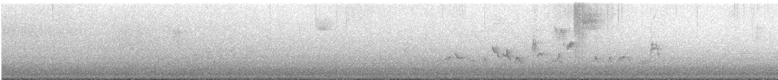 Warbling Vireo - ML617608322