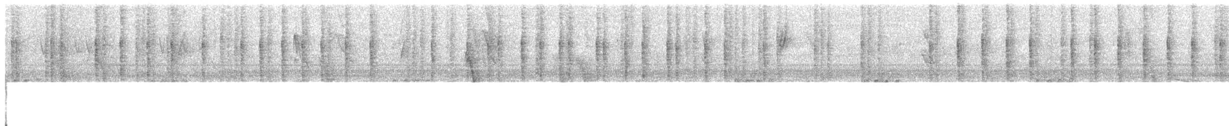 Braunschwanzamazilie - ML617608939