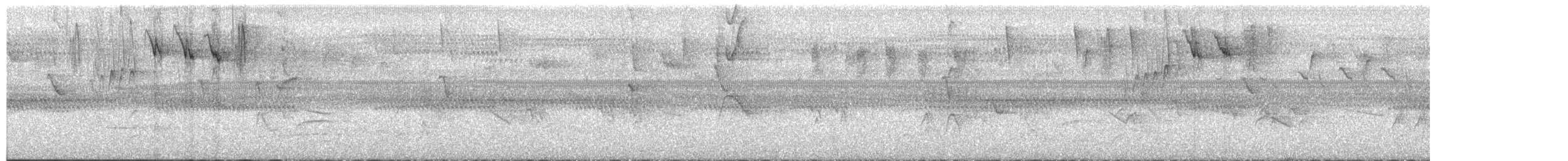 Bananaquit - ML617609064