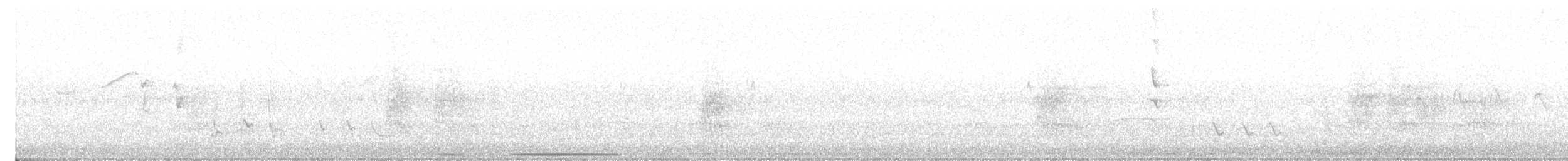 Белолобая голубка - ML617610510