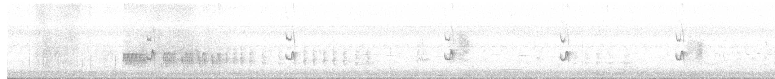 Graustirn-Dickichtschlüpfer - ML617610572