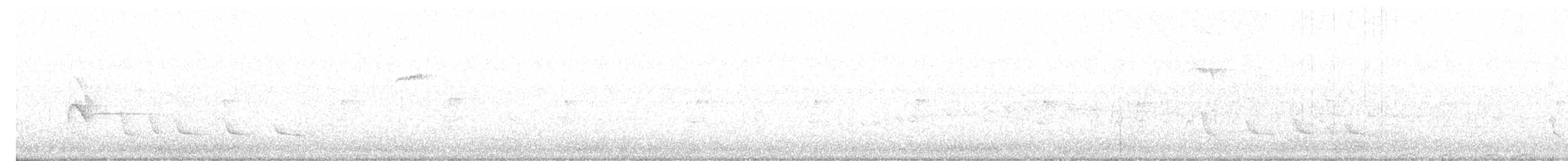 Белокрылый бекард - ML617610588