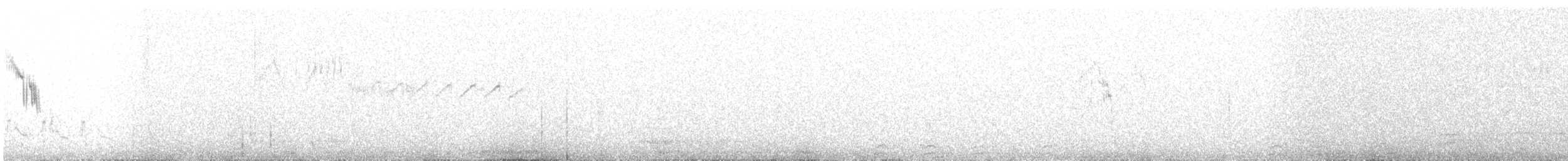 konipas luční (ssp. iberiae) - ML617611119