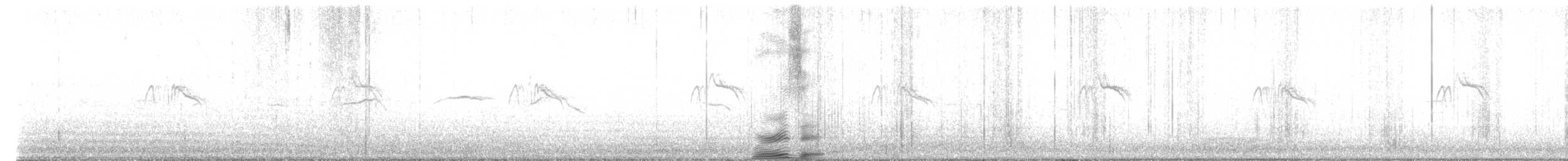Black Phoebe - ML617611330