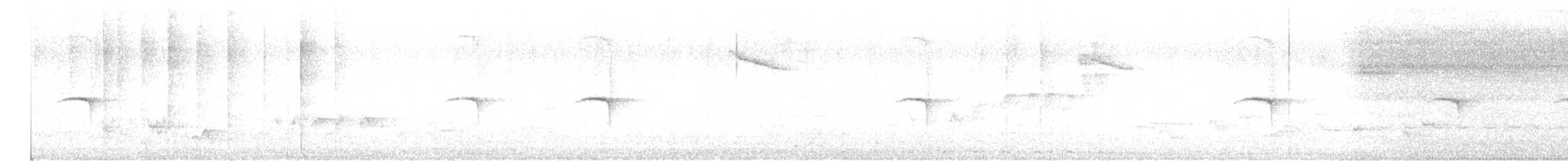 lejsek bělokrký - ML617611892