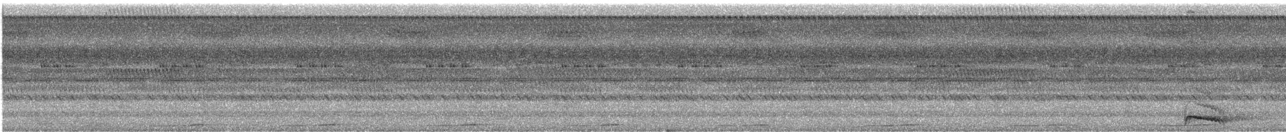 Бурая иглоногая сова - ML617612216