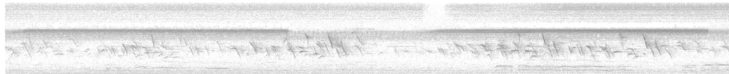 Kestane Karınlı Koca Tohumcul - ML617613235