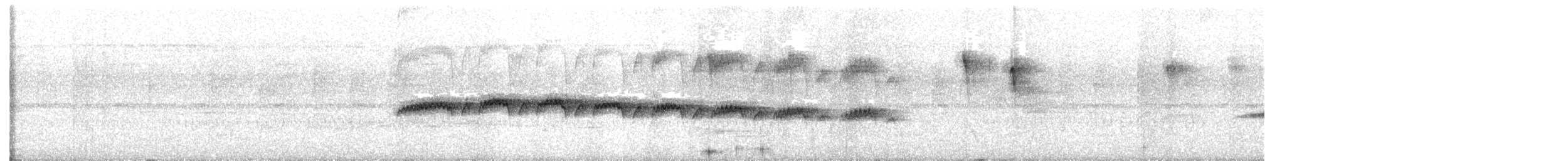 Мурав’янка-куцохвіст плямиста - ML617613361