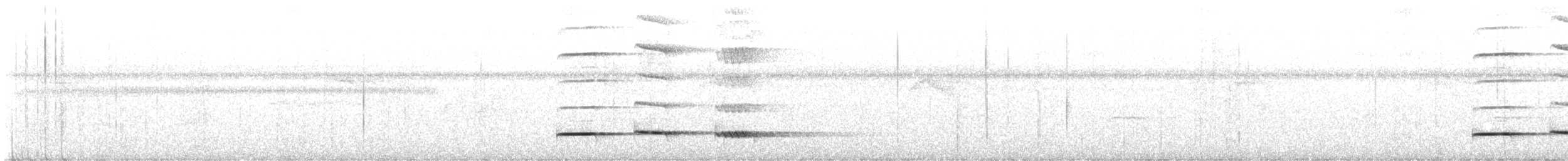 Таязура-клинохвіст велика - ML617618847