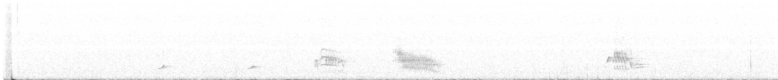 svartsilkefugl - ML617620039