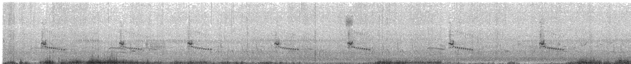 Каролинский крапивник - ML617620058