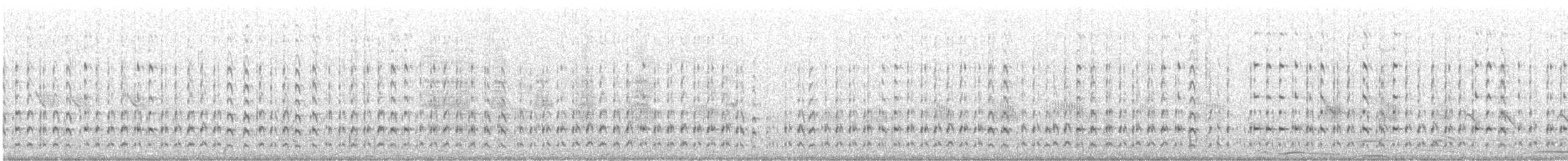 Piro piro semipalmato - ML617625710