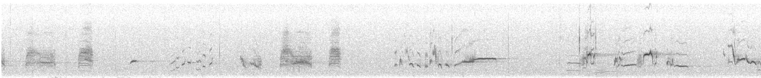 Rotsteiß-Spottdrossel - ML617625894