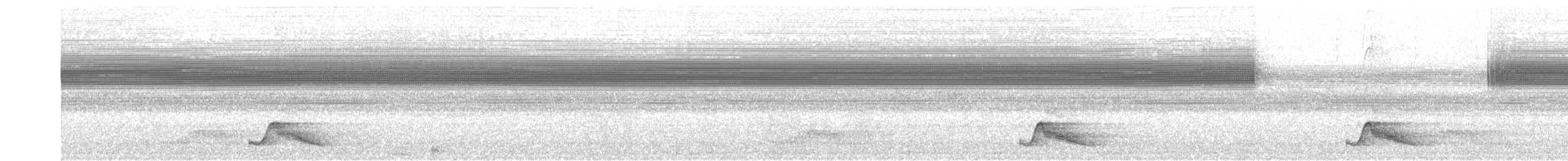 Pauraquenachtschwalbe - ML617626095