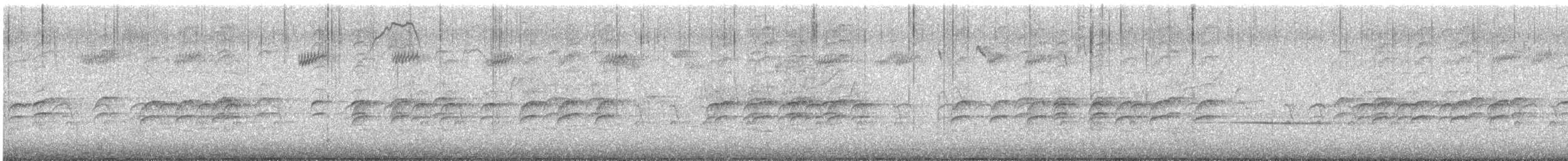 Bec-croisé bifascié - ML617626320