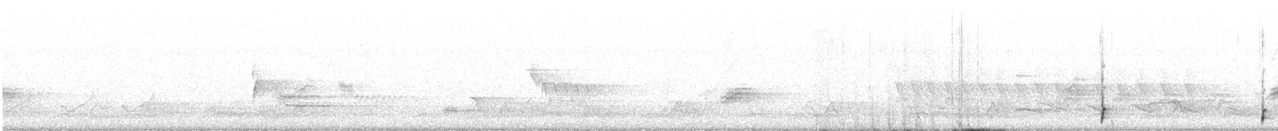 Schwarzkehl-Nachtschwalbe - ML617627412