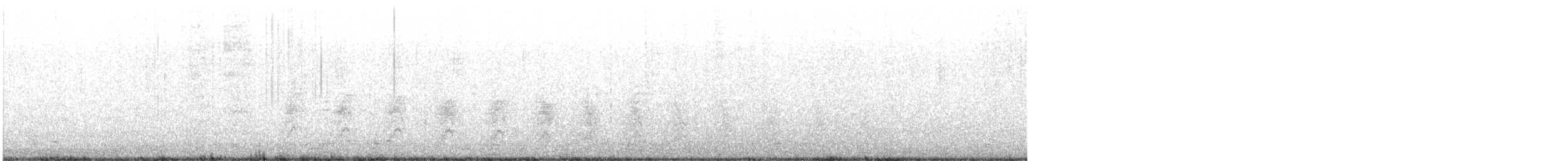 chřástal virginský (ssp. limicola/friedmanni) - ML617628348