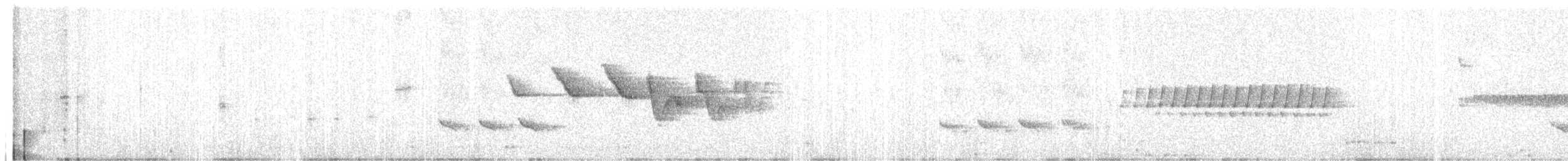 Louisiana Waterthrush - ML617628454