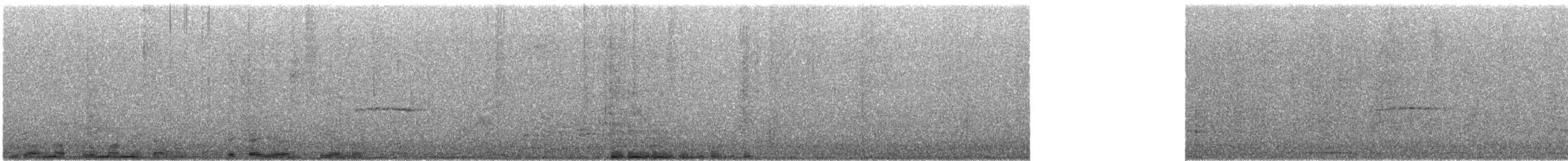 Тиранчик-тонкодзьоб північний - ML617628972